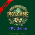 PK8 Game
