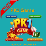 PK1 Game
