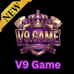 V9 Game